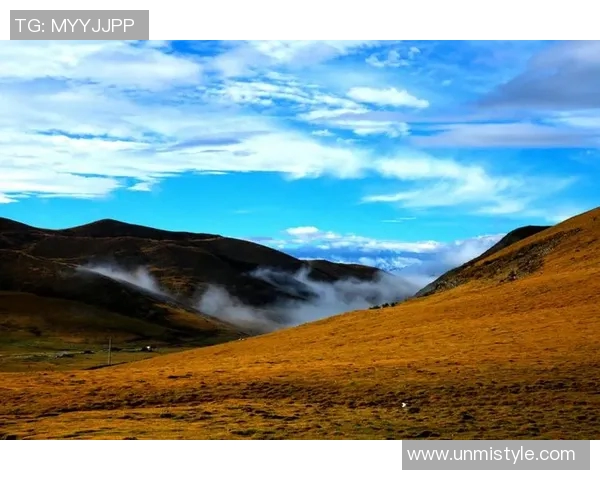 何思雨的成长之路与人生哲学探索：从校园到职场的心灵旅程