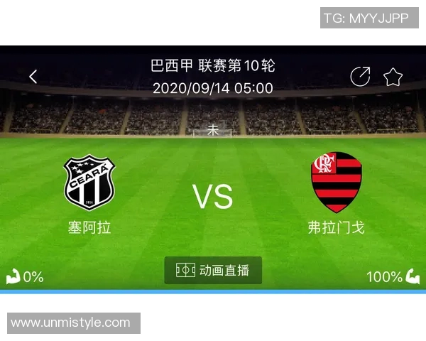 弗拉门戈与塞阿拉精彩对决比分揭晓赛季战绩分析