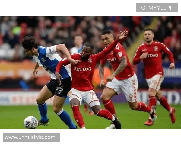 比利时与爱尔兰足球历史对抗回顾与发展分析