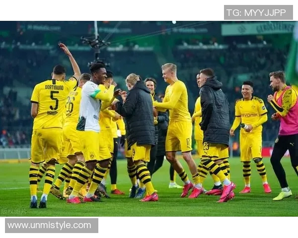 塞尔维亚对阵威尔士精彩直播全程回顾与赛后分析